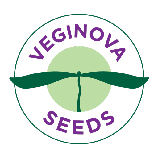 Veginova Seeds
