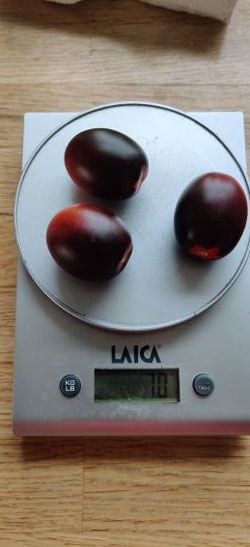 ST303-fruit2